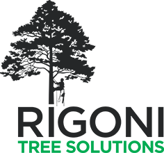 Rigoni Trees 